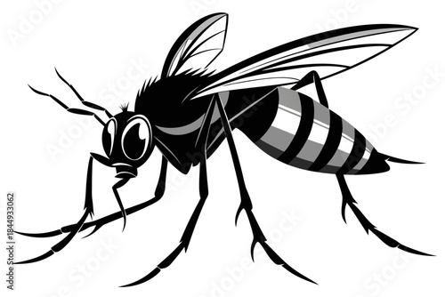 Mosquito Line Drawing Vector – Detailed Insect Outline Illustration for Science and Education