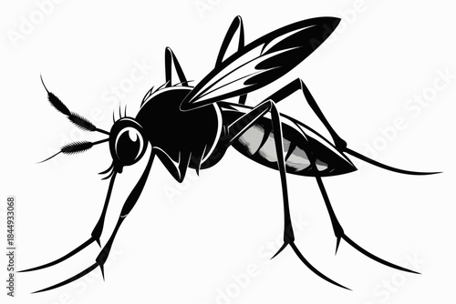 Mosquito Line Drawing Vector – Detailed Insect Outline Illustration for Science and Education