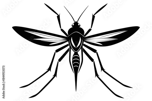 Mosquito Line Drawing Vector – Detailed Insect Outline Illustration for Science and Education