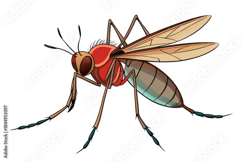 Mosquito Line Drawing Vector – Detailed Insect Outline Illustration for Science and Education