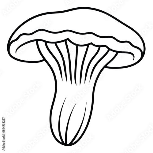 chanterelle-isolated-on-pure-white-background.eps