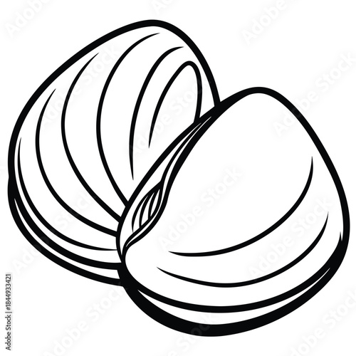 clams-isolated-on-pure-white-background.eps