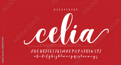 A bold yet elegant handwritten font that captures a realistic signature style, great for personal logos and stationery. 