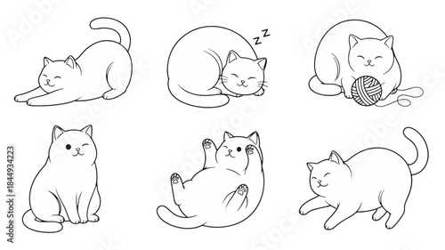Cat Poses Vector Line Art Set
