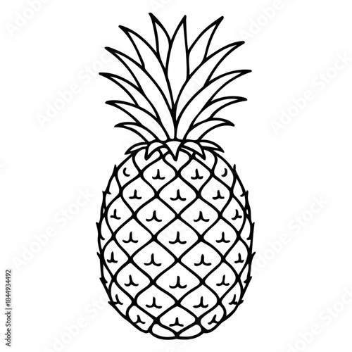 Tropical Delight: A detailed illustration of a ripe pineapple, showcasing its textured skin and crown of leaves. A refreshing icon of tropical flavor and culinary charm.