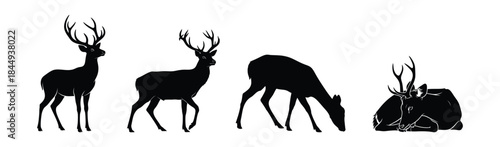 Collection of majestic deer silhouettes in various natural poses, elegant vector art
