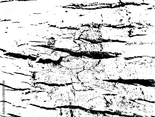  weathered rocky surface texture Grunge background black and white. Texture of chips, cracks, scratches, scuffs, dust, dirt .Vector pattern of cracks, chips, scuffs. Abstract vintage surface isolated