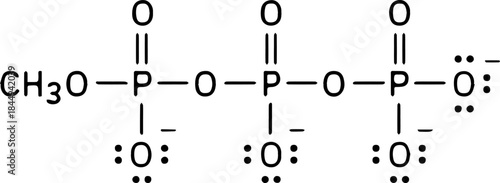 Organic Chemistry Molecular Structures Sketch Illustration