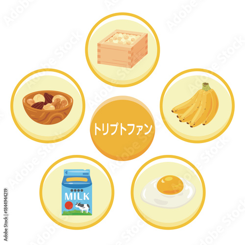 トリプトファンを多く含む食品のイラストセット　日本語／Foods High in Tryptophan Illustration Set – Japanese
