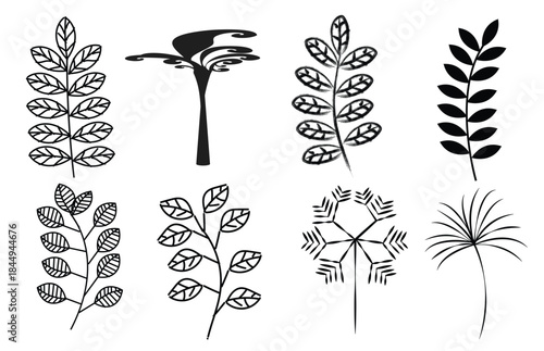 Variety of plant silhouettes with different leaf patterns