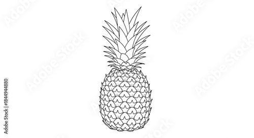 A detailed black and white line art illustration of a whole pineapple, showing its intricate texture in a clean, minimalist style.