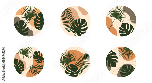 Set of six modern and abstract highlight cover icons for social media, featuring tropical leaves like monstera and palm on pastel backgrounds.