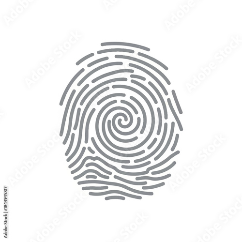 Gray Fingerprint Icon on White Background.