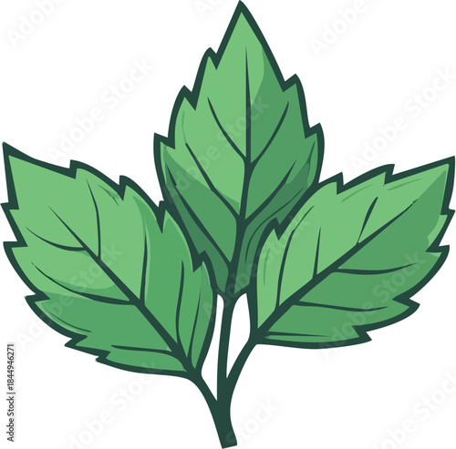 Mint Leaves Icon Simple Green Herb Flat Vector Illustration