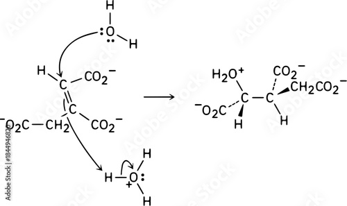 Organic Chemistry Molecular Formula Illustration