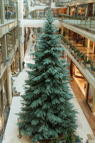 Giant fir tree, Christmas decorations