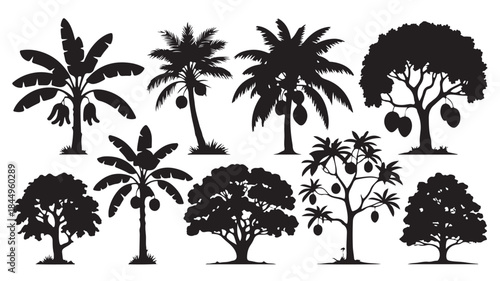 Tropical Tree Silhouettes Stylized Black and White Vector Collection for Nature Graphics.