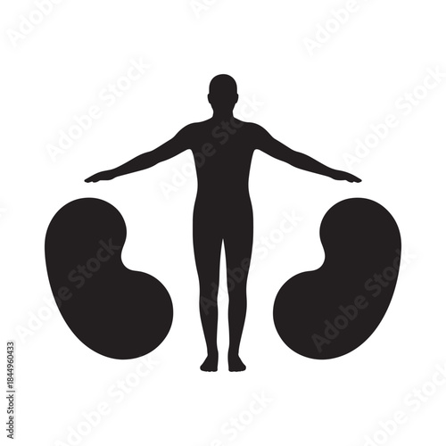 Human silhouette with prominent kidney shapes illustrating anatomy and health concepts