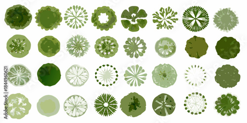 An assortment of green trees viewed from above displaying diverse canopy shapes