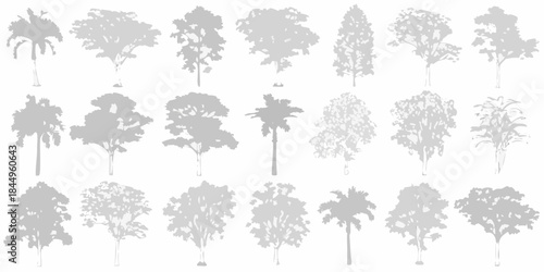 Collection of diverse tree silhouettes against a plain white background