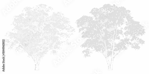 Silhouetted trees with detailed foliage against a plain white background