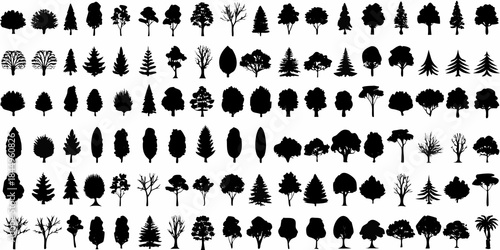Collection of diverse tree silhouettes representing forest ecosystems and natural landscapes