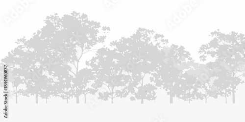 Silhouetted trees against a pale gray backdrop showcasing natural forms