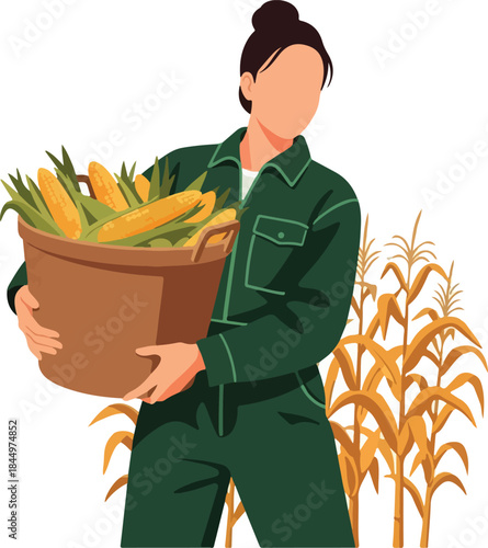 Farmer harvesting corn, carrying a basket full, suitable for agriculture, farming, harvest, autumn, organic, rural, nature concepts.