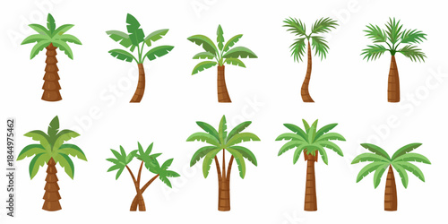 Collection of various tropical palm trees in different shapes and sizes