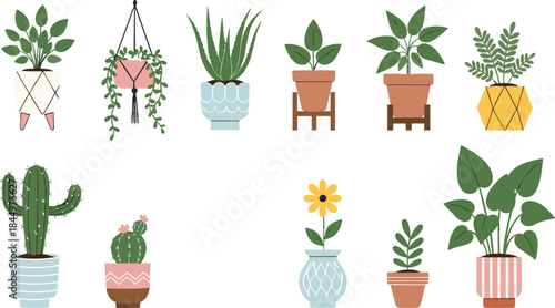 Indoor houseplant vector set with potted plants cactus hanging planters and decorative pots flat illustration