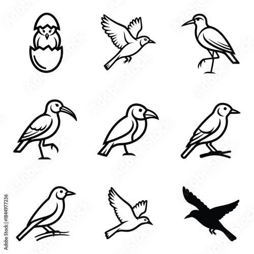Collection of bird icons in various poses