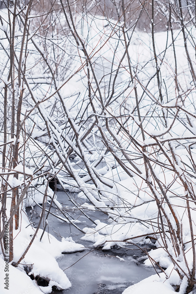 Fototapeta premium Winter forest. Landscape of the park in winter. Snow-covered trees at the edge.