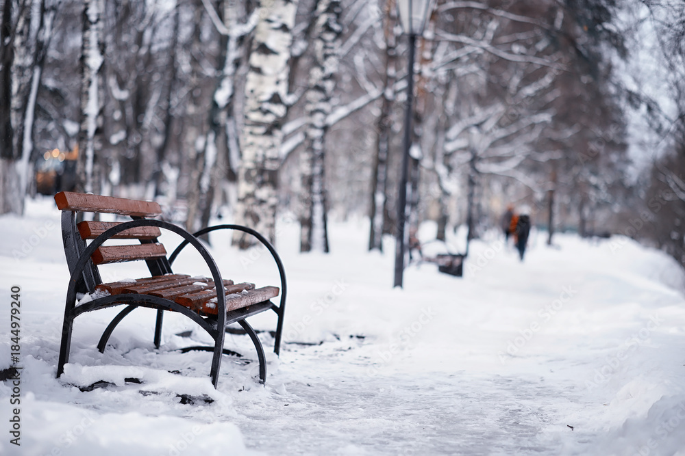Naklejka premium Winter forest landscape. Tall trees under snow cover. January frosty day in the park.