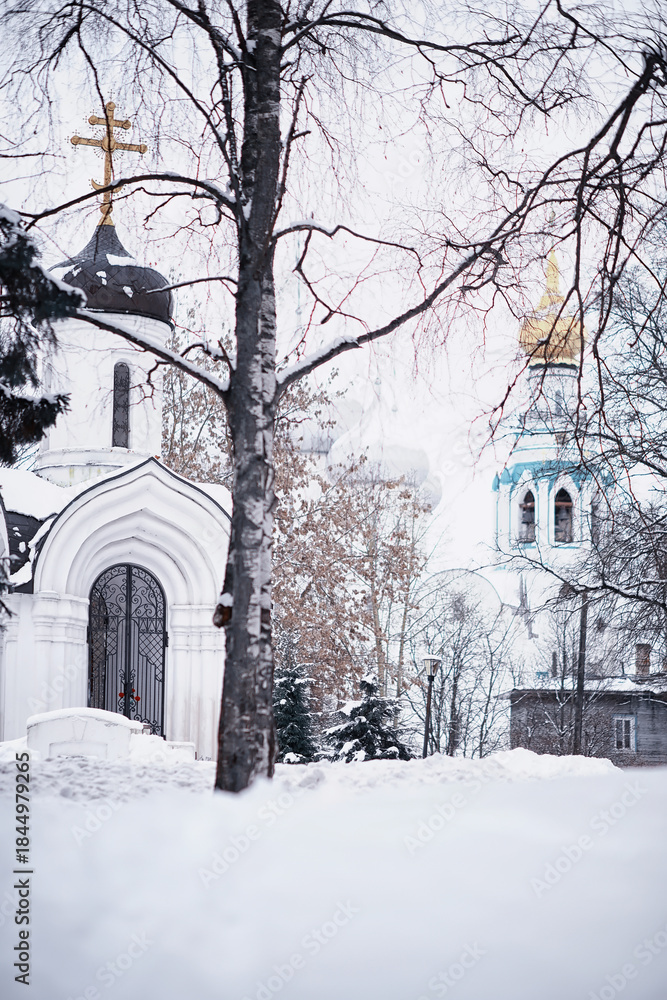 Naklejka premium Winter forest landscape. Tall trees under snow cover. January frosty day in the park.