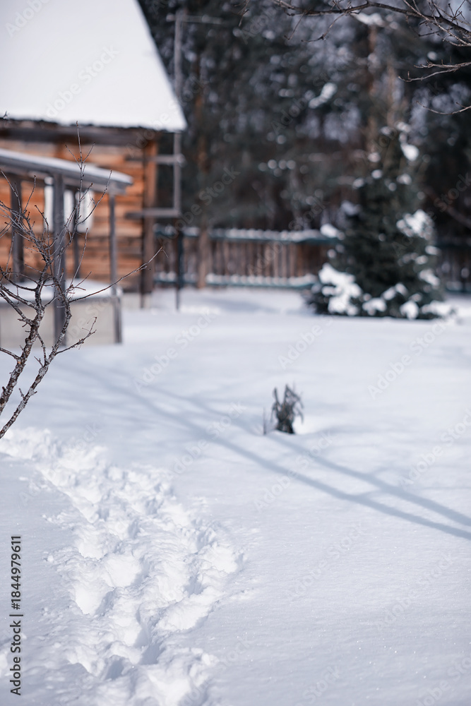Naklejka premium Winter forest landscape. Tall trees under snow cover. January frosty day in the park.