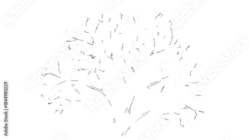 Abstract minimal sketch of a sparse tree crown isolated vector graphic