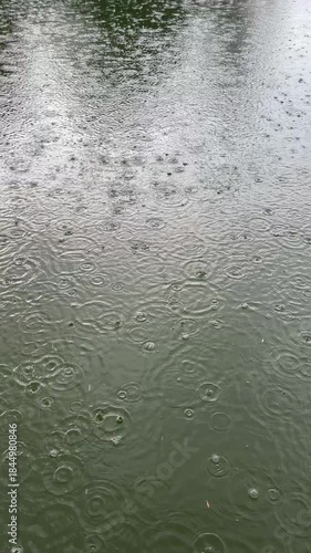 Rain drops on the lake