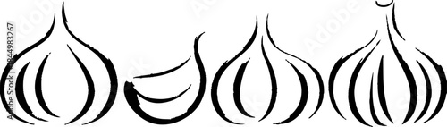 Stylized Black and White Garlic Illustration with Brush Strokes