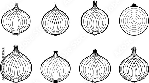 Stylized Line Art Illustrations of Onion Halves and Cross-Sections