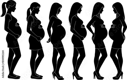 Pregnant Woman Silhouette Stages of Pregnancy pregnant.