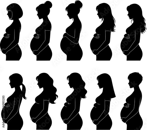 Pregnant women silhouettes expectant mothers profiles pregnant.