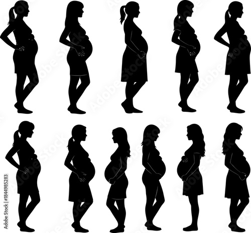 Pregnant Woman Silhouettes Stages of Pregnancy pregnant.