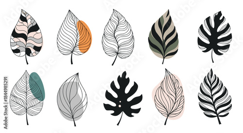 Curated collection of stylized leaf illustrations in diverse shapes and patterns ranging from striped to solid presented in monochrome and muted colors.