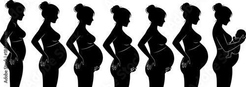 Pregnant Woman Silhouette Stages of Pregnancy pregnant.