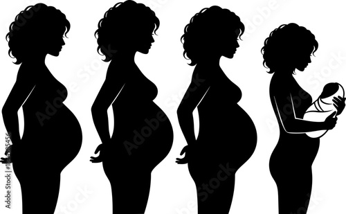 Pregnancy Progression Silhouettes: Woman's Maternity Stages to Newborn Baby