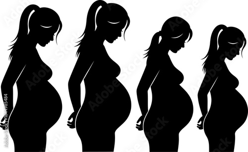 Pregnant Woman Silhouettes Expectant Mother Profiles pregnant.
