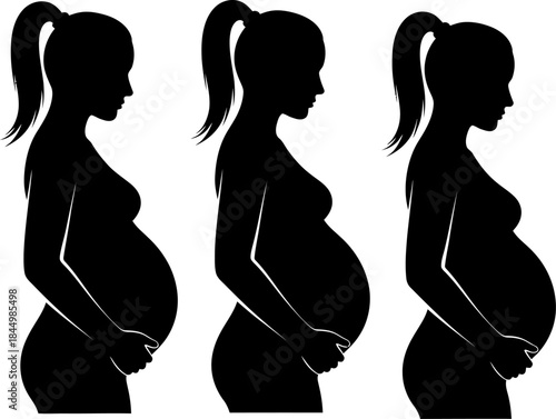 Pregnant Woman Belly Stages Silhouette Profile pregnant.