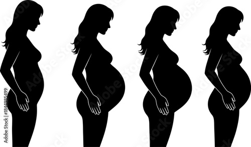 Pregnant woman silhouettes stages of pregnancy pregnant.