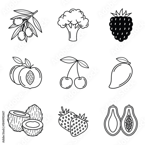 Fruit illustrations collection