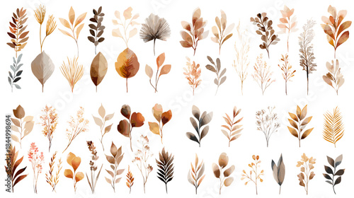 A collection of watercolor autumn leaves and delicate branches in warm earthy tones. Ideal for seasonal decor, nature designs, invitations, and craft projects.